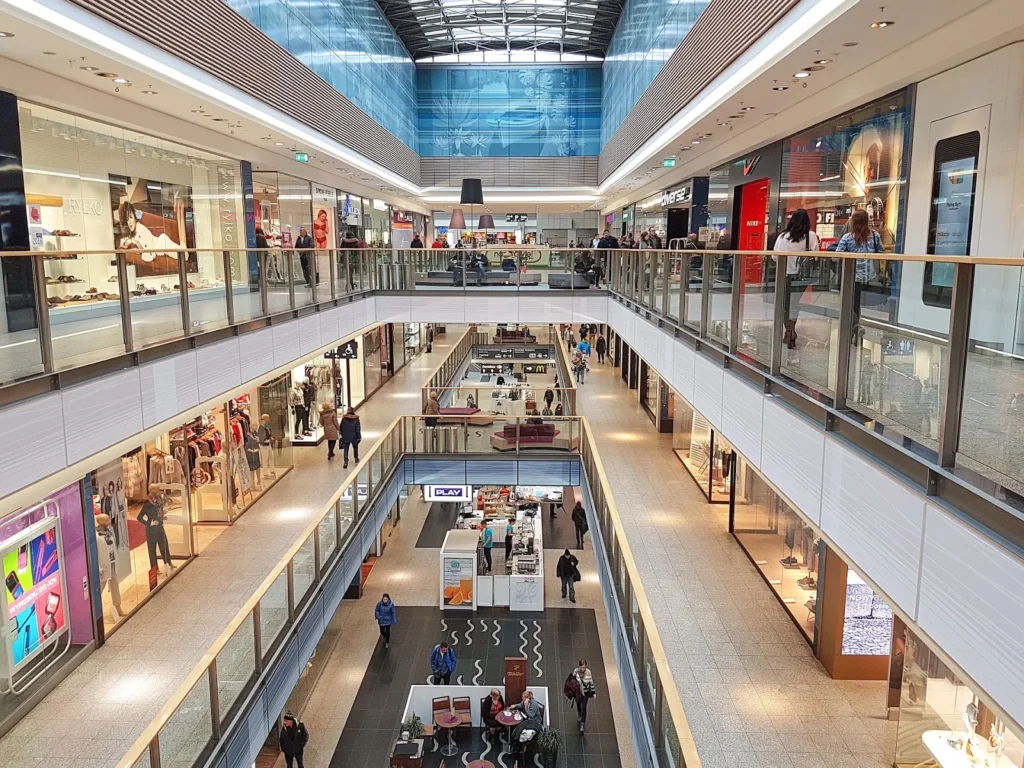Comparison between a focused specialist retailer offering product advice and a large general retailer offering broad selection and standardized fulfillment.